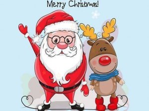 Festive Star Search Challenge
