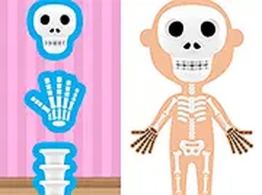 World of Alice: The Bones - Anatomy Learning Game for Kids Online