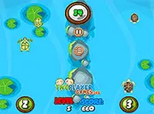 Turtle Dash Online Game