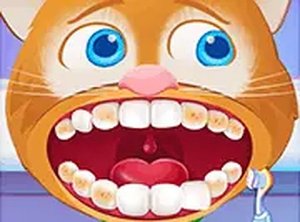 Animal Daycare Online Game
