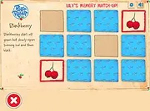 Lily's Memory Match-Up Online Game