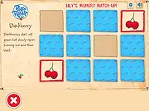 Lily's Memory Match-Up Online Game